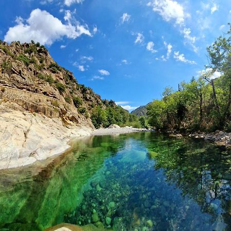 Domaine U Filanciu - Casa Ghjulia - Centru Di Corsica Villa Moltifao Eksteriør bilde