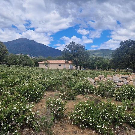 Domaine U Filanciu - Casa Ghjulia - Centru Di Corsica Villa Moltifao Eksteriør bilde