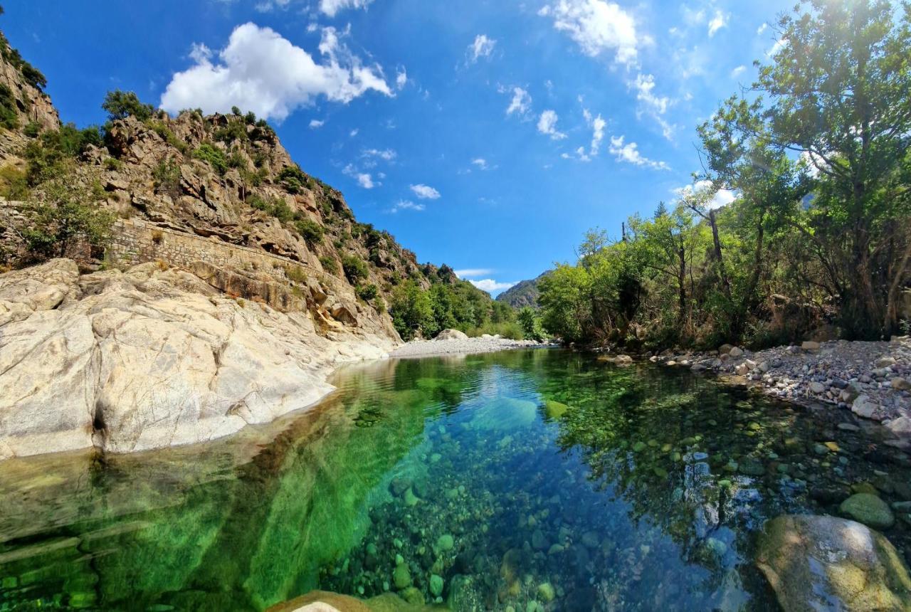 Domaine U Filanciu - Casa Ghjulia - Centru Di Corsica Villa Moltifao Eksteriør bilde
